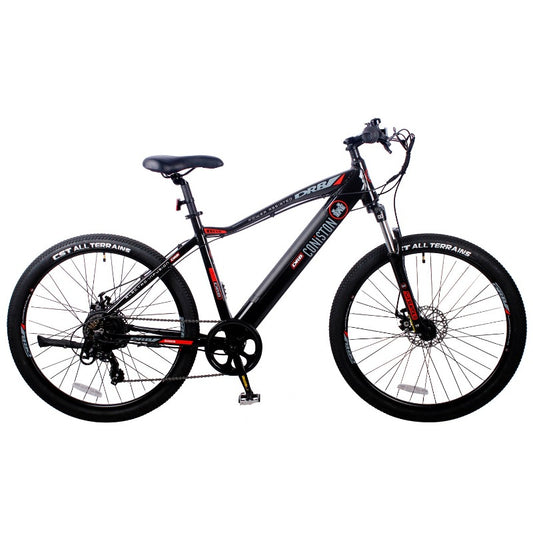 dallingridge-coniston-electric-mtb